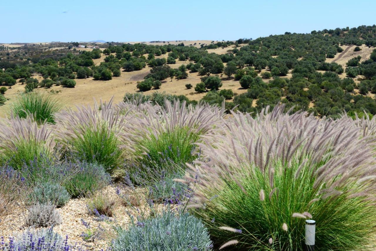 Vistas - Herdade Do Zambujal Каштру-Верди Экстерьер фото